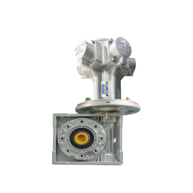 AMP5-RV Motor roda gigi torsi tinggi